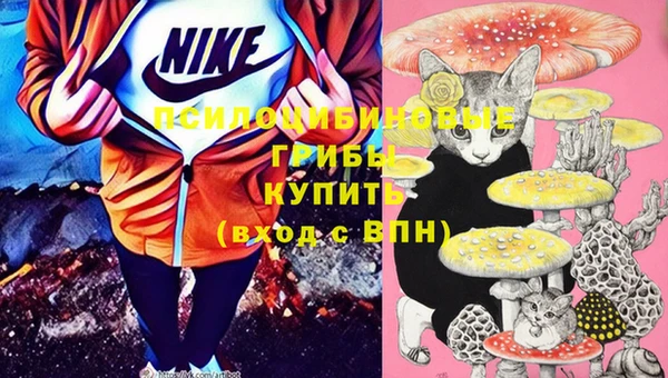 первитин Корсаков