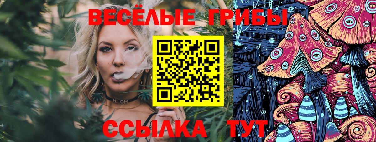 Псилоцибиновые грибы Magic Shrooms Советск