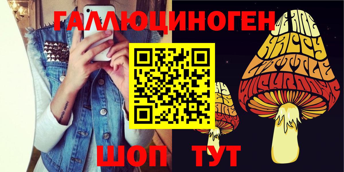 Псилоцибиновые грибы GOLDEN TEACHER  Вход с VPN  Советск  даркнет сайт  Галлюциногенные грибы мицелий 