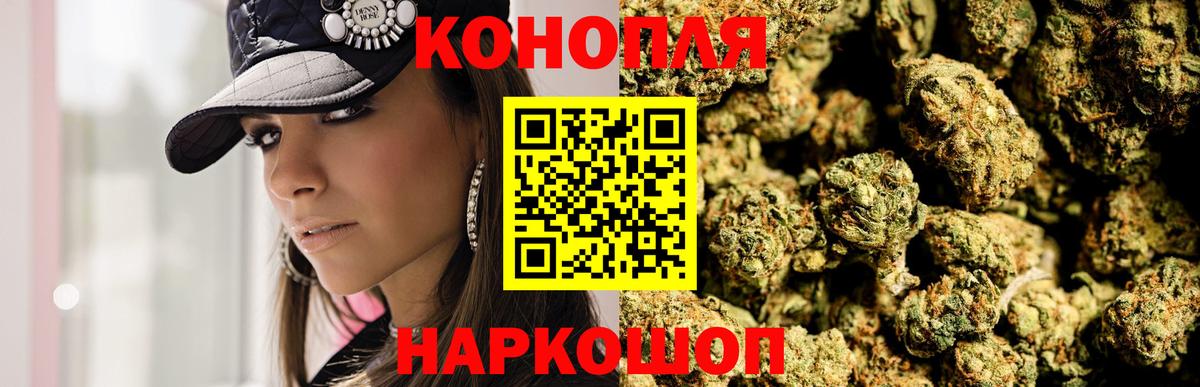 Конопля планчик Советск