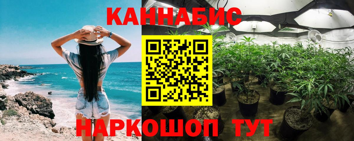 Конопля тримм  Бошки Шишки SATIVA & INDICA  Вход с VPN  Бошки Шишки тримм  Советск 